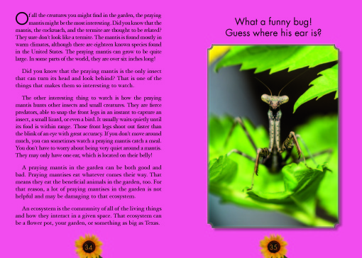 There's a Bug in my Blossom excerpt